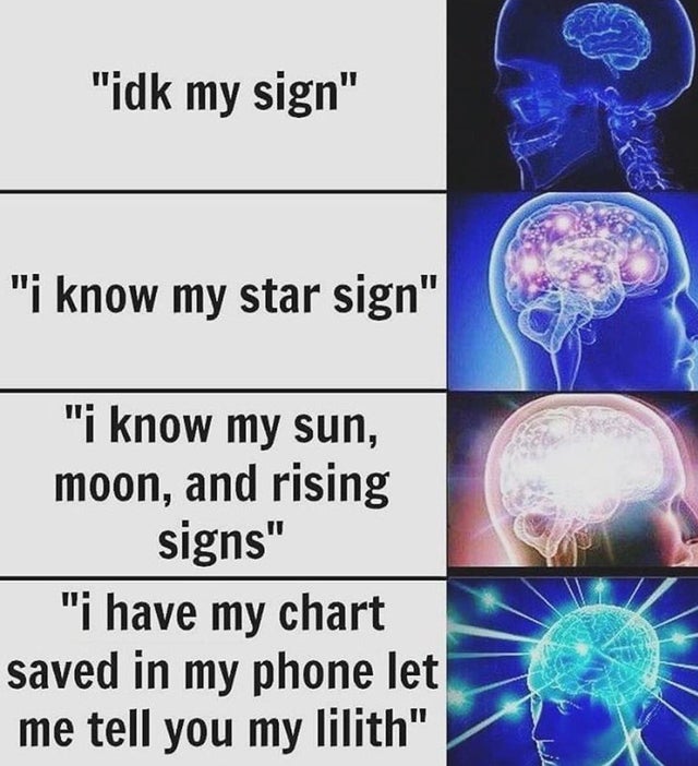 astrology meme the signs as