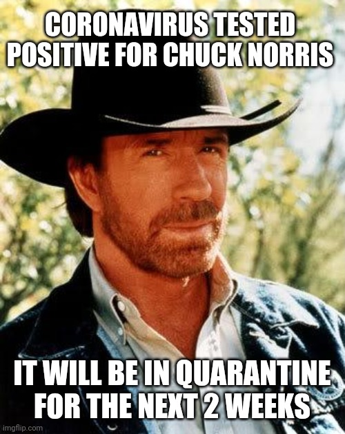 30 Epic Chuck Norris Memes To Celebrate The Man Behind The Meme Inspirationfeed 