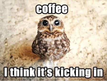 65 Funny Coffee Memes You Can Always Relate To | Inspirationfeed