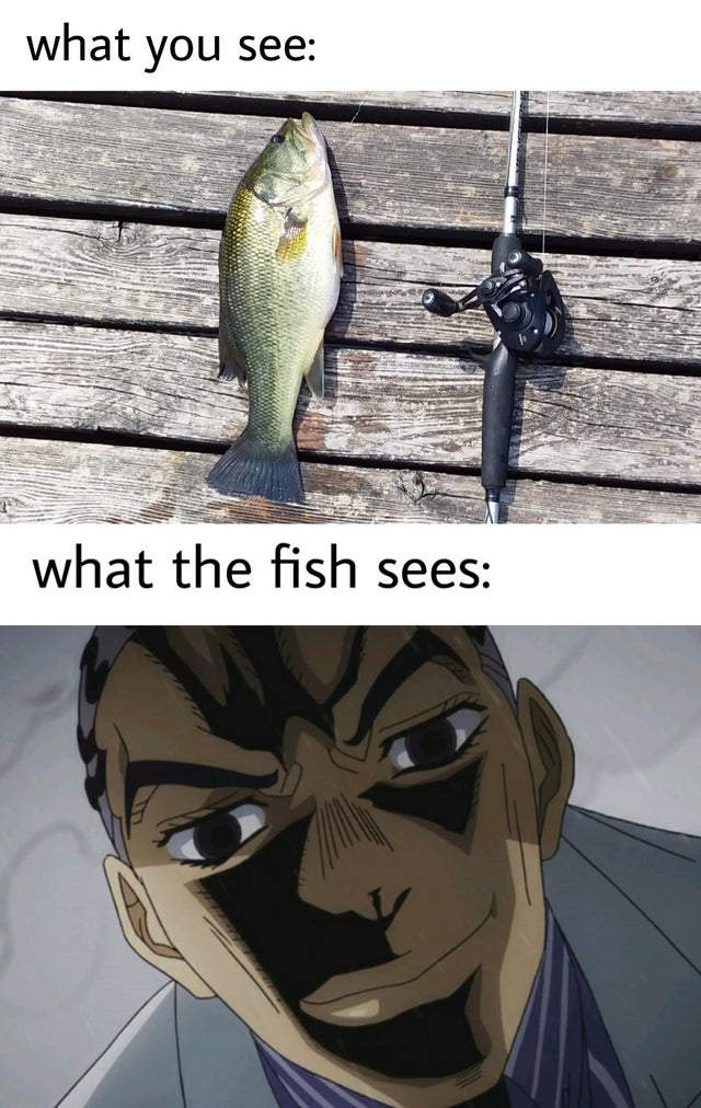 Funny Fish Meme