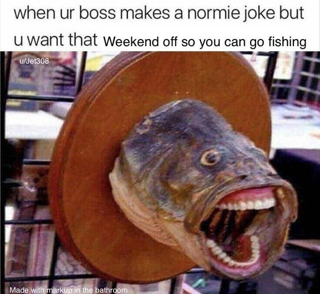 Fishing memes: BusinessHAB.com
