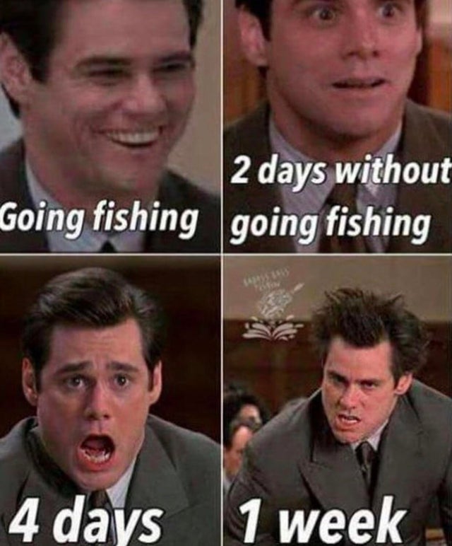 baby yoda puffer fish meme. bass fishing memes. best fishing memes. 