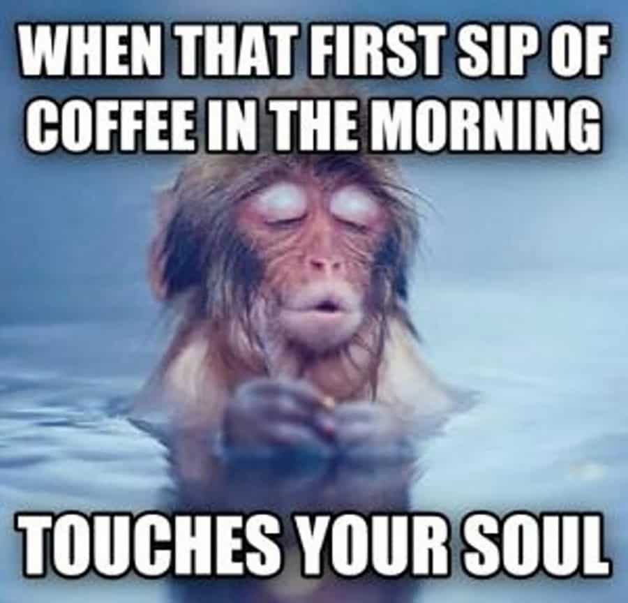 128 Best Good Morning Memes and Jokes To Kickstart Your Day |  Inspirationfeed