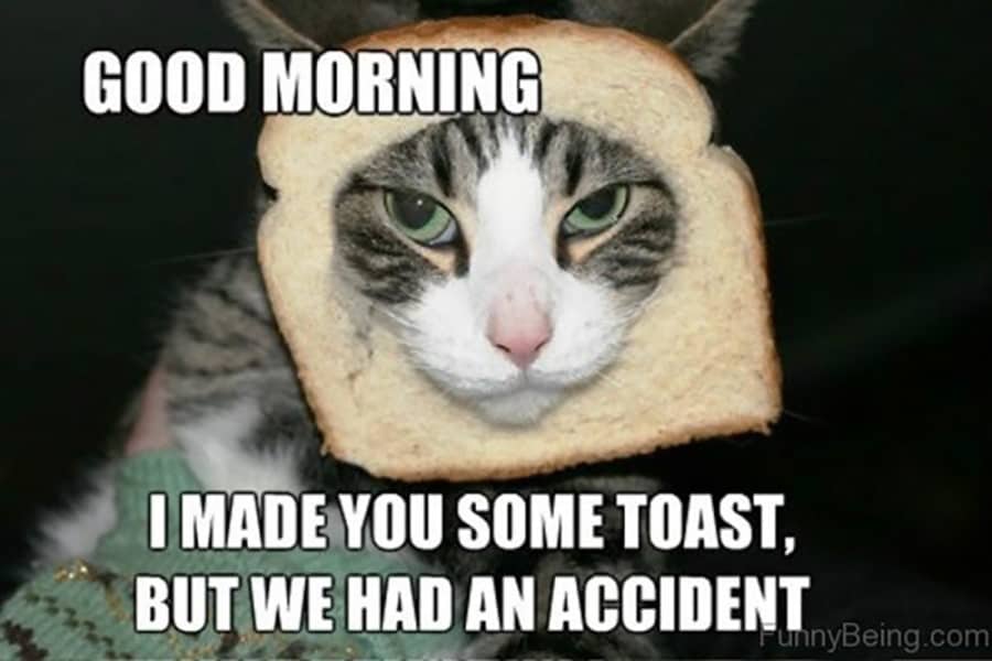 128 Best Good Morning Memes And Jokes To Kickstart Your Day Inspirationfeed