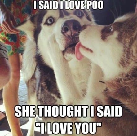 84 Of The Best I Love You Memes To Send To Your Special Someone Inspirationfeed