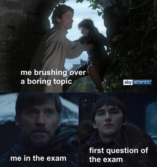 Pin by Vanianillux on GAME OF THRONES  Game of thrones funny, Game of thrones  meme, Game of thrones facts