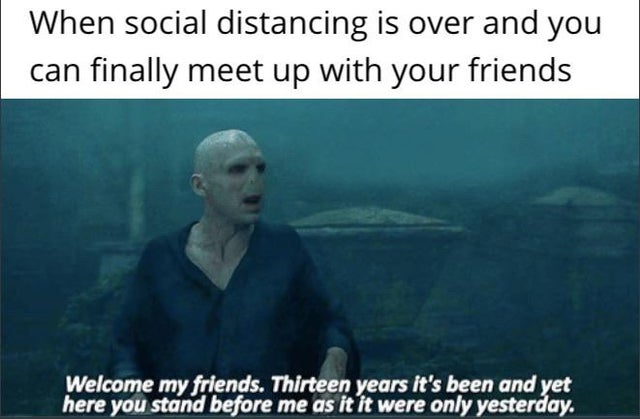 15 Harry Potter Memes That Will Make You Laugh, Then Cry - Potterhood