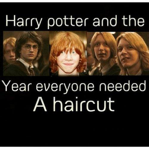 TOP TWENTY FUNNIEST/BEST HARRY POTTER MEMES ON REDDIT IN JUNE 2020