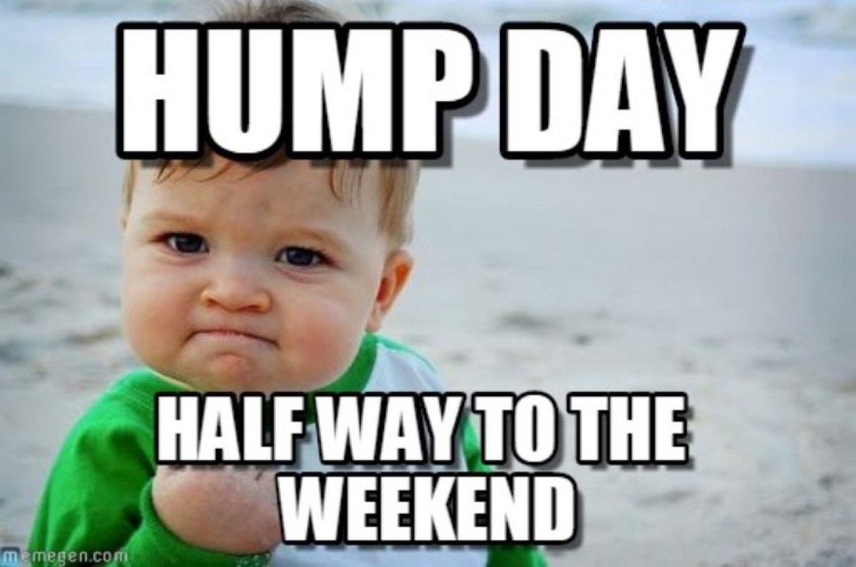 45 Hump Day Memes To Get You Through The Rest of the Week Inspirationfeed