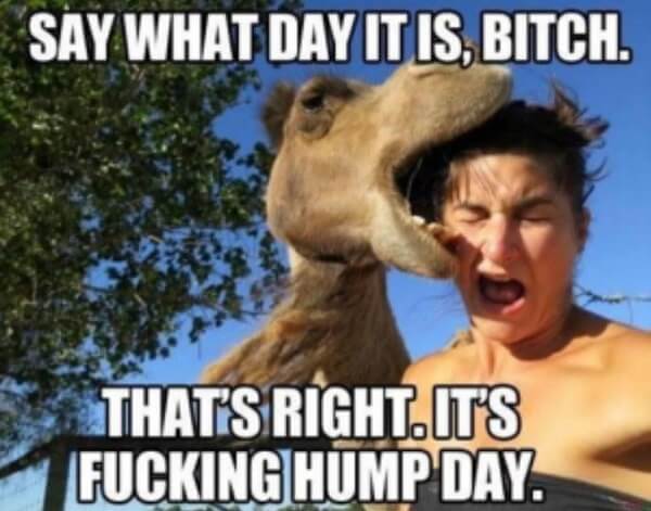 Nasty Hump Day Pics