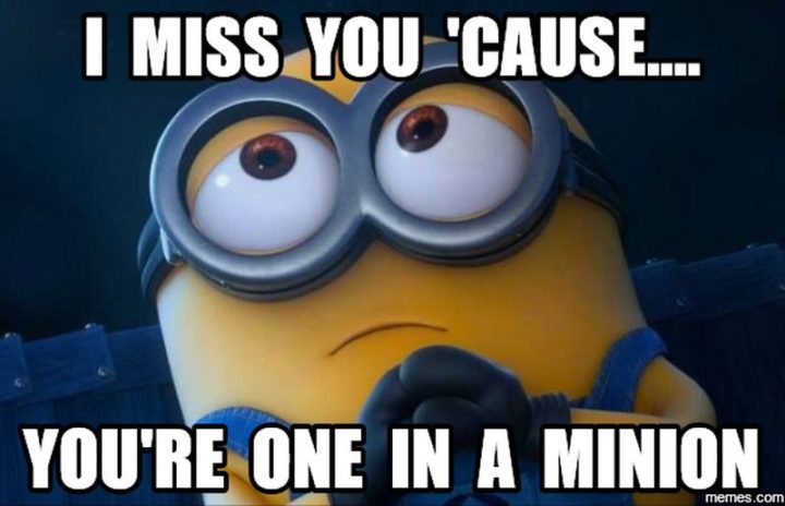 Featured image of post I Will Miss You Meme Funny - Hurry up and come home.