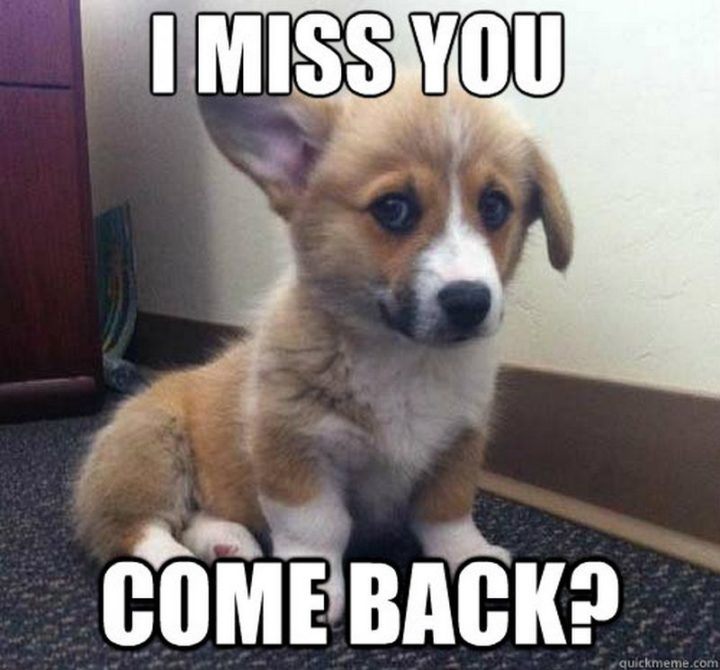 100 Of The Best I Miss You Memes To Send To Your Bae Inspirationfeed 2004