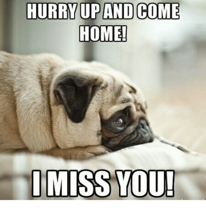 100 Of The Best I Miss You Memes To Send To Your Bae Inspirationfeed 4457