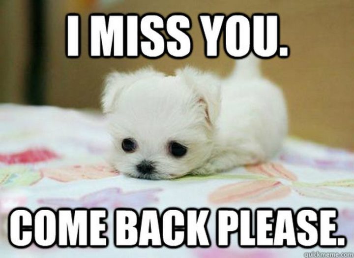 100 Of The Best I Miss You Memes To Send To Your Bae Inspirationfeed 2825