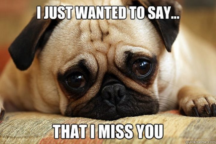 100 Of The Best I Miss You Memes To Send To Your Bae Inspirationfeed 7697