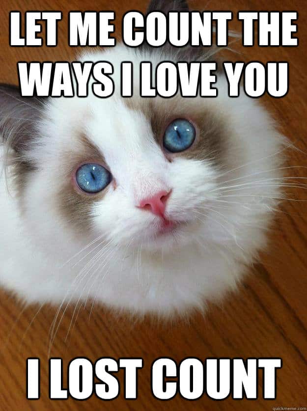 84 Of The Best I Love You Memes To Send To Your Special Someone Inspirationfeed