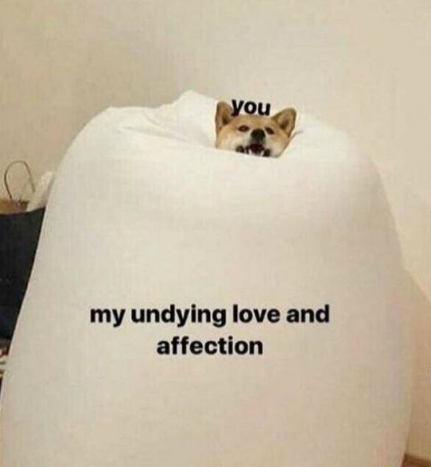 All My Love And Affection Memes Meme Image