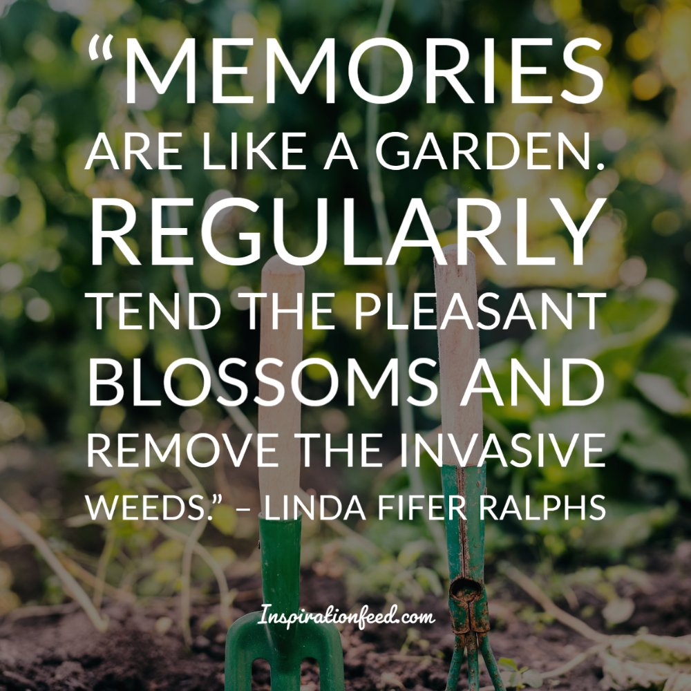 90 Quotes about Treasuring Memories | Inspirationfeed