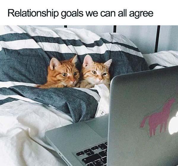 55 Funny Relationship Memes That Will Make You and Your Partner Laugh ...