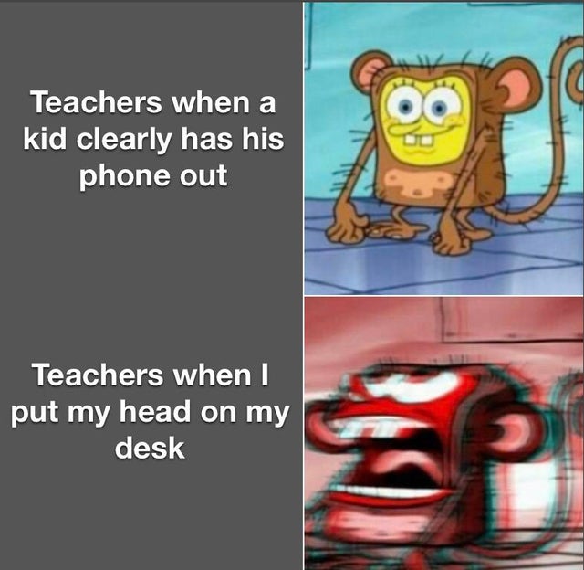 School Memes Clean