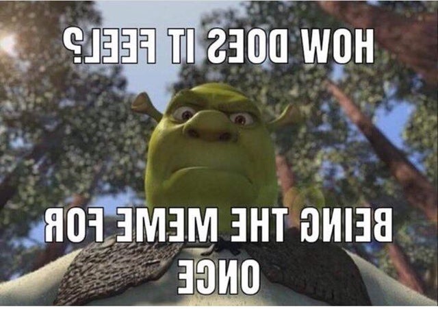 shrek meme