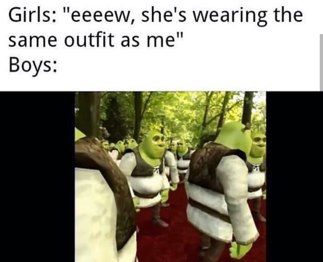 51 Of The Best Shrek Memes The Internet Made Popular Inspirationfeed