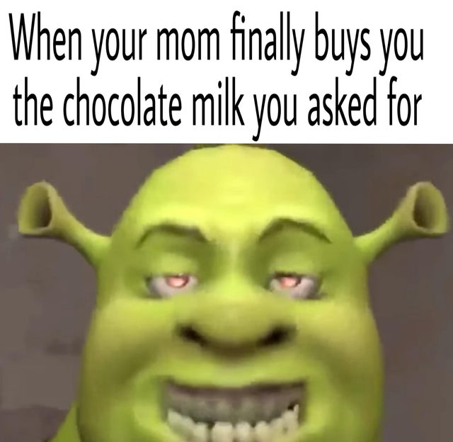 Shrek meme 🤠  Shrek funny, Shrek memes, Shrek