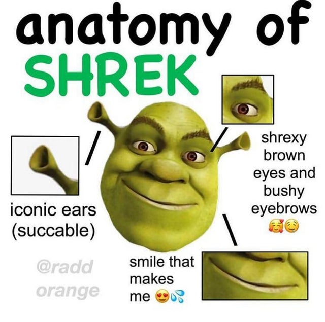 51 of the Best Shrek Memes The Internet Made Popular - Inspirationfeed