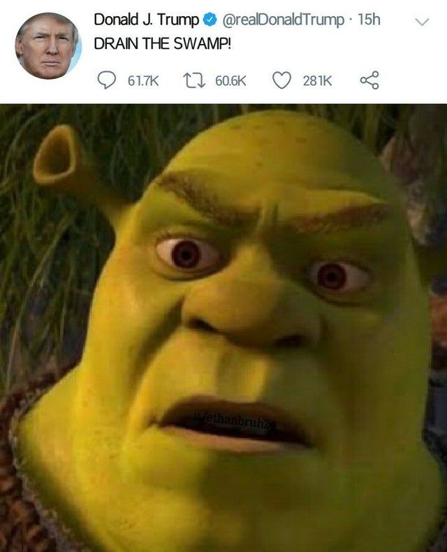 shrek meme