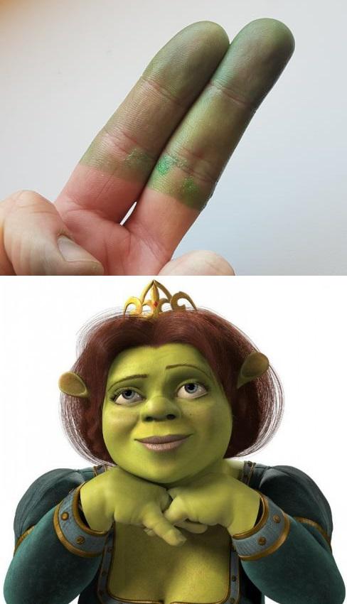 51 Of The Best Shrek Memes The Internet Made Popular Inspirationfeed