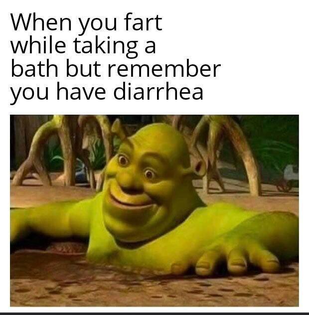 51 of the Best Shrek Memes The Internet Made Popular - Inspirationfeed