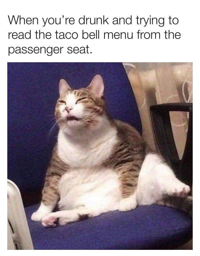 34 Funny Taco Bell Memes You Know All. Too. Well. - Inspirationfeed