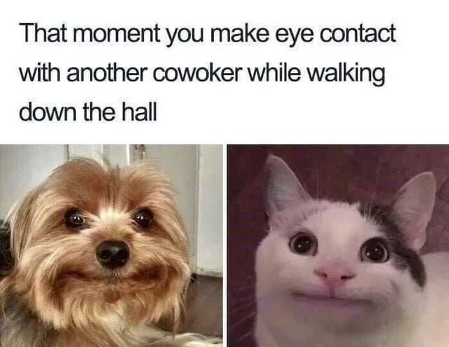 45 Relatable Work Memes For Days When You Just Can T Inspirationfeed