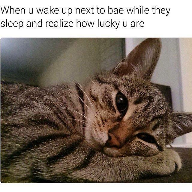 62 Of The Best Flirty Memes To Send To Your Special Someone Inspirationfeed