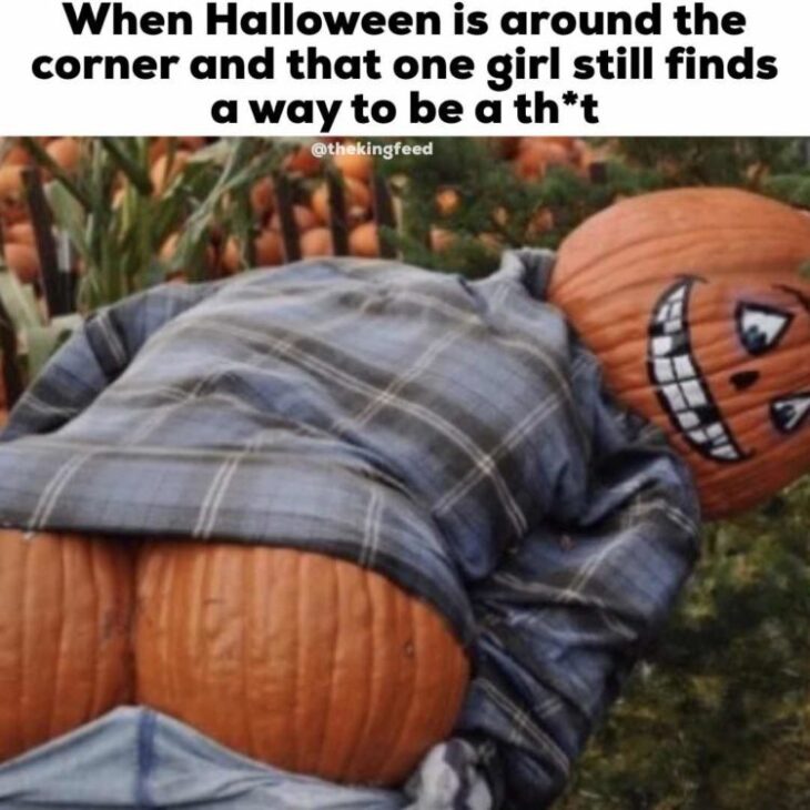 60+ Hilarious Halloween Memes Inspirationfeed