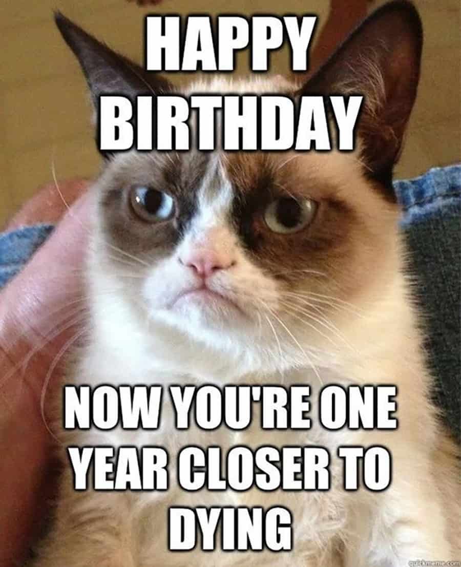 104 Funny And Cute Happy Birthday Memes To Send To Friends And Family Inspirationfeed