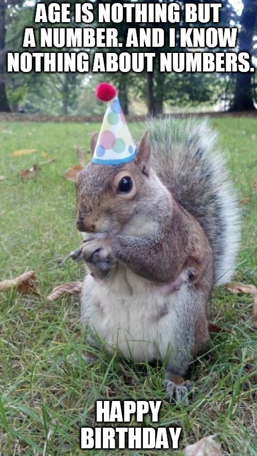 104 Funny and Cute Happy Birthday Memes to Send to Friends and Family |  Inspirationfeed