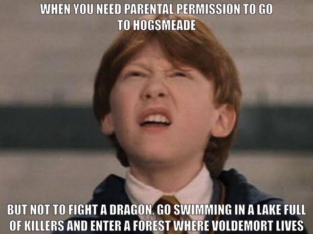 50 of the Funniest Harry Potter Memes That Will Take You Back To Hogwarts -  Inspirationfeed