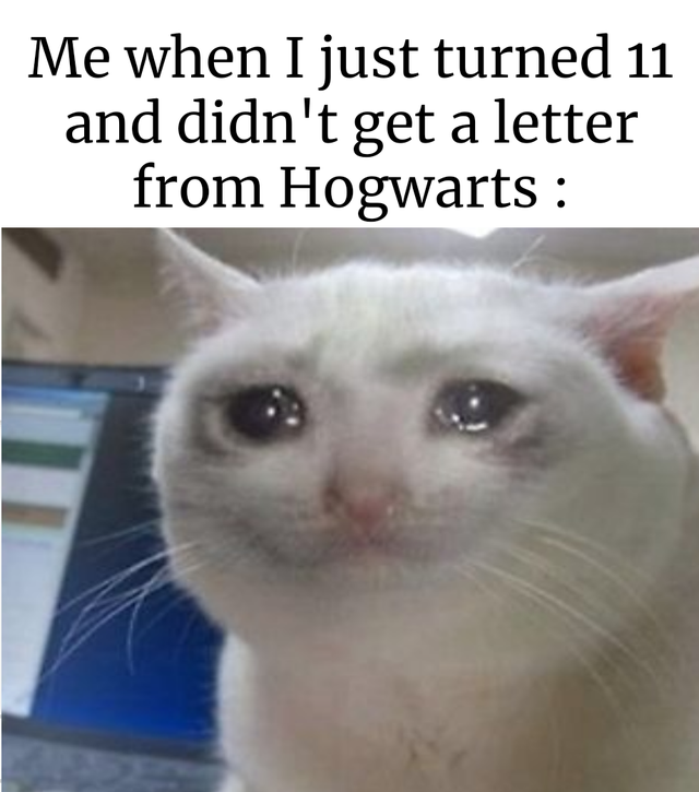 50 Of The Funniest Harry Potter Memes That Will Take You Back To Hogwarts Inspirationfeed