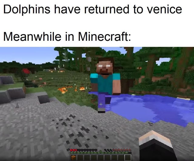 70 Dank Minecraft Memes That Only Fans Can Relate To Inspirationfeed