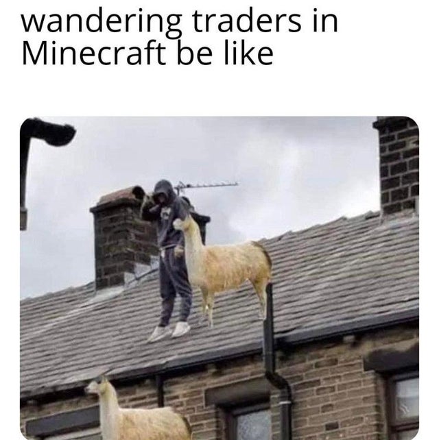 70 Dank Minecraft Memes That Only Fans Can Relate To ...