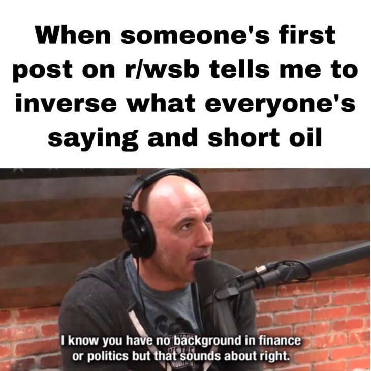 bloomberg wallstreetbets lingo bloomberg wallstreetbets lingo