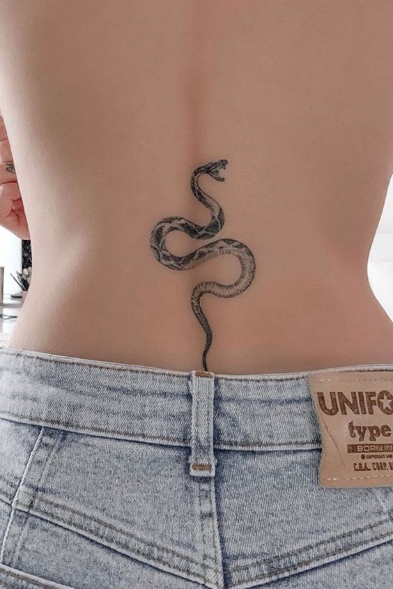 stomach snake tattoo femaleTikTok Search