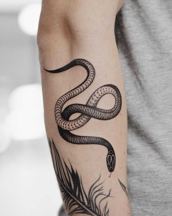 55 Inspiring Snake Tattoos For Both Men And Women Inspirationfeed