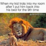 100 Funniest Mom Memes | Inspirationfeed