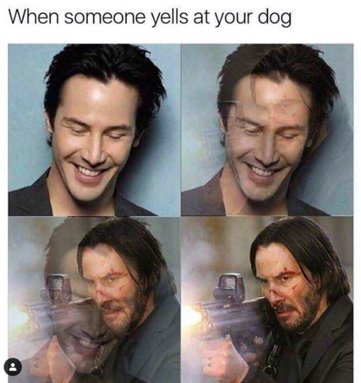 60 Wholesome Keanu Reeves Memes Inspirationfeed