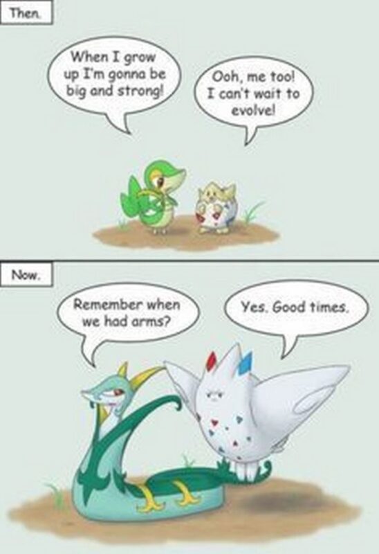 71 Funny Pokemon Memes Inspirationfeed 1417