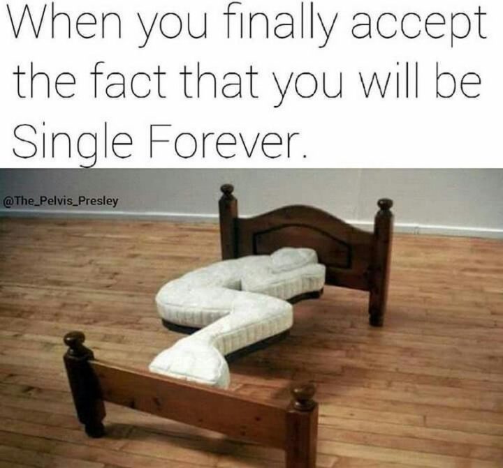 65 Hilariously Accurate Memes About Being Single Inspirationfeed 