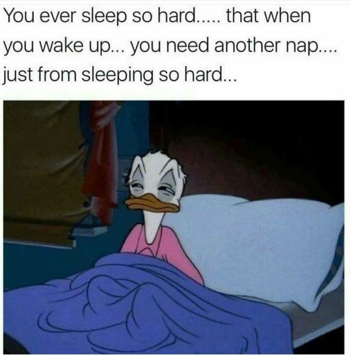 70 Memes You Will Relate To If You Love To Sleep - Inspirationfeed
