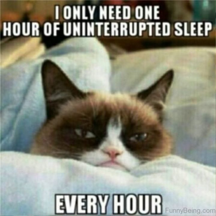 70 Memes You Will Relate To If You Love To Sleep | Inspirationfeed